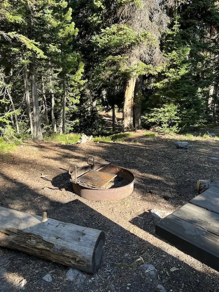 Lewis Lake site #4