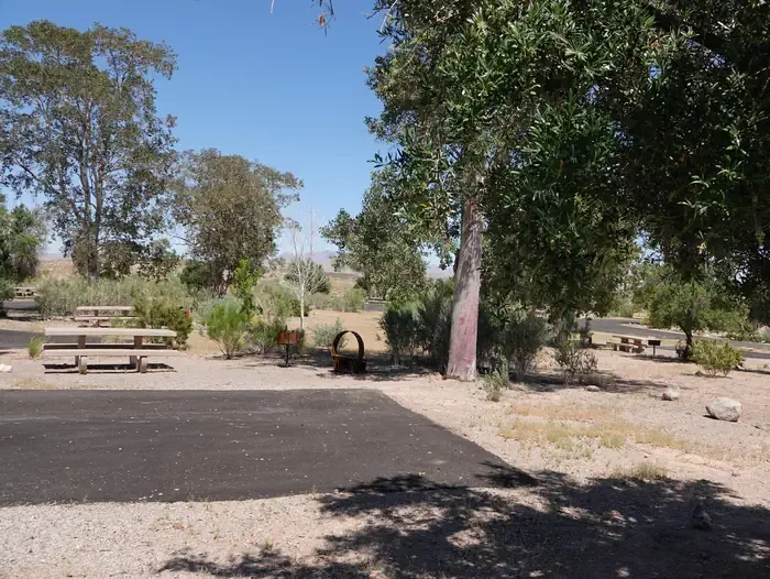 Site 83