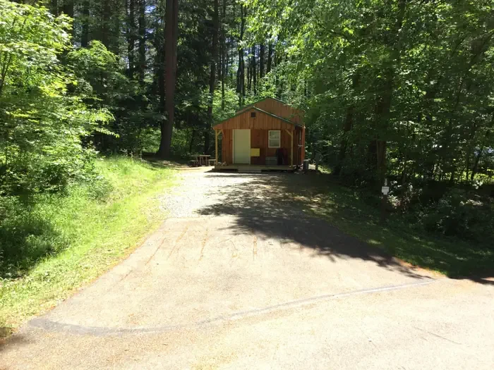 Cabin 019