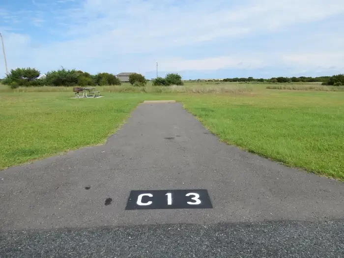 C013