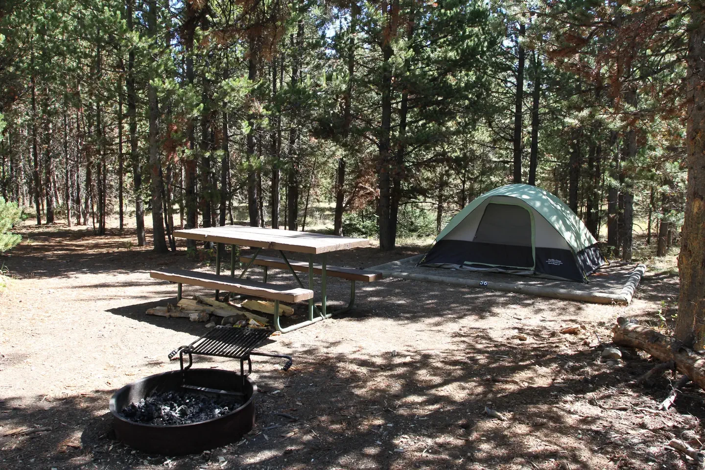 Indian Creek site #56