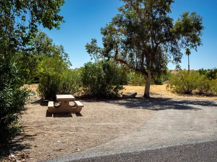 Site 61