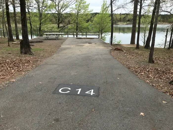 C14