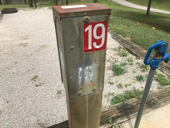 19