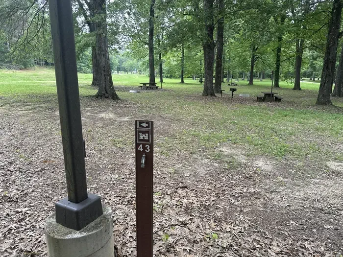 43