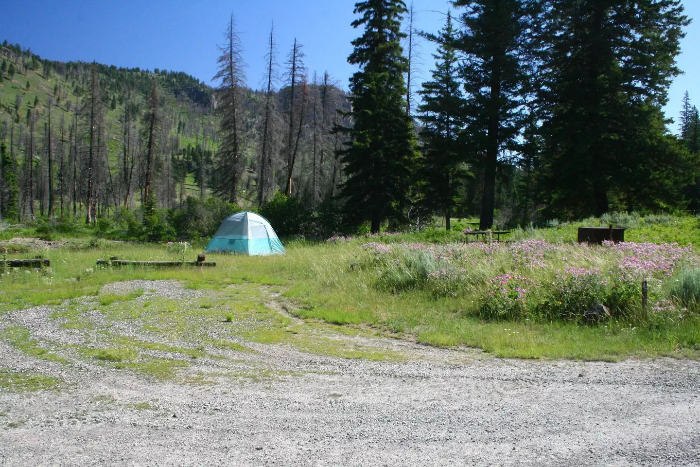 Slough Creek site #4