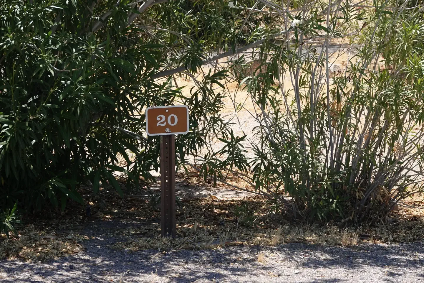 Site 20