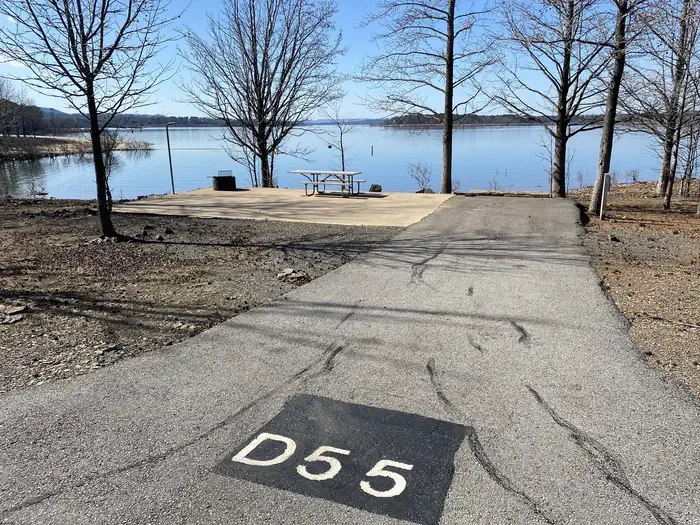D55