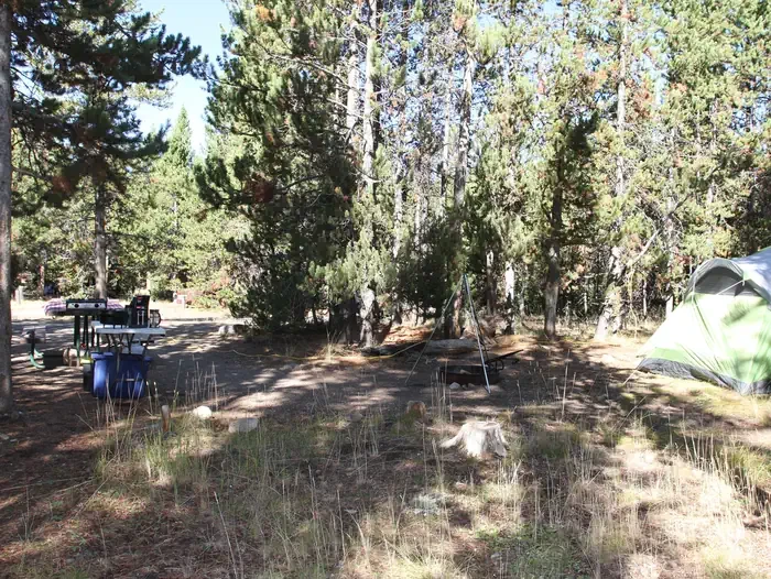 Indian Creek site #57
