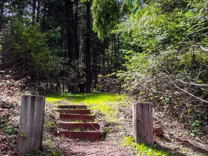 Mary Smith Campground