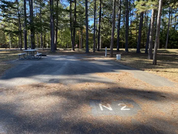N02