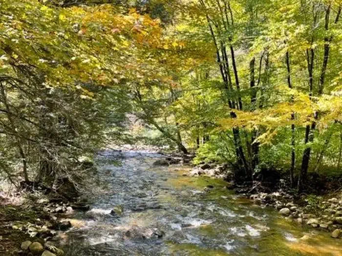 Day Run Campground