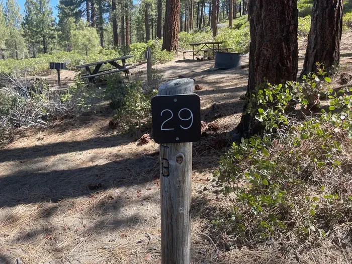 29