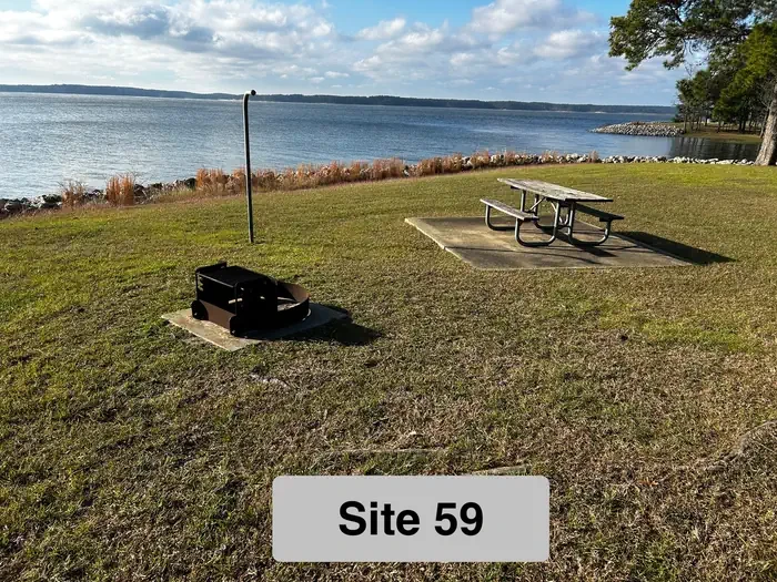 59