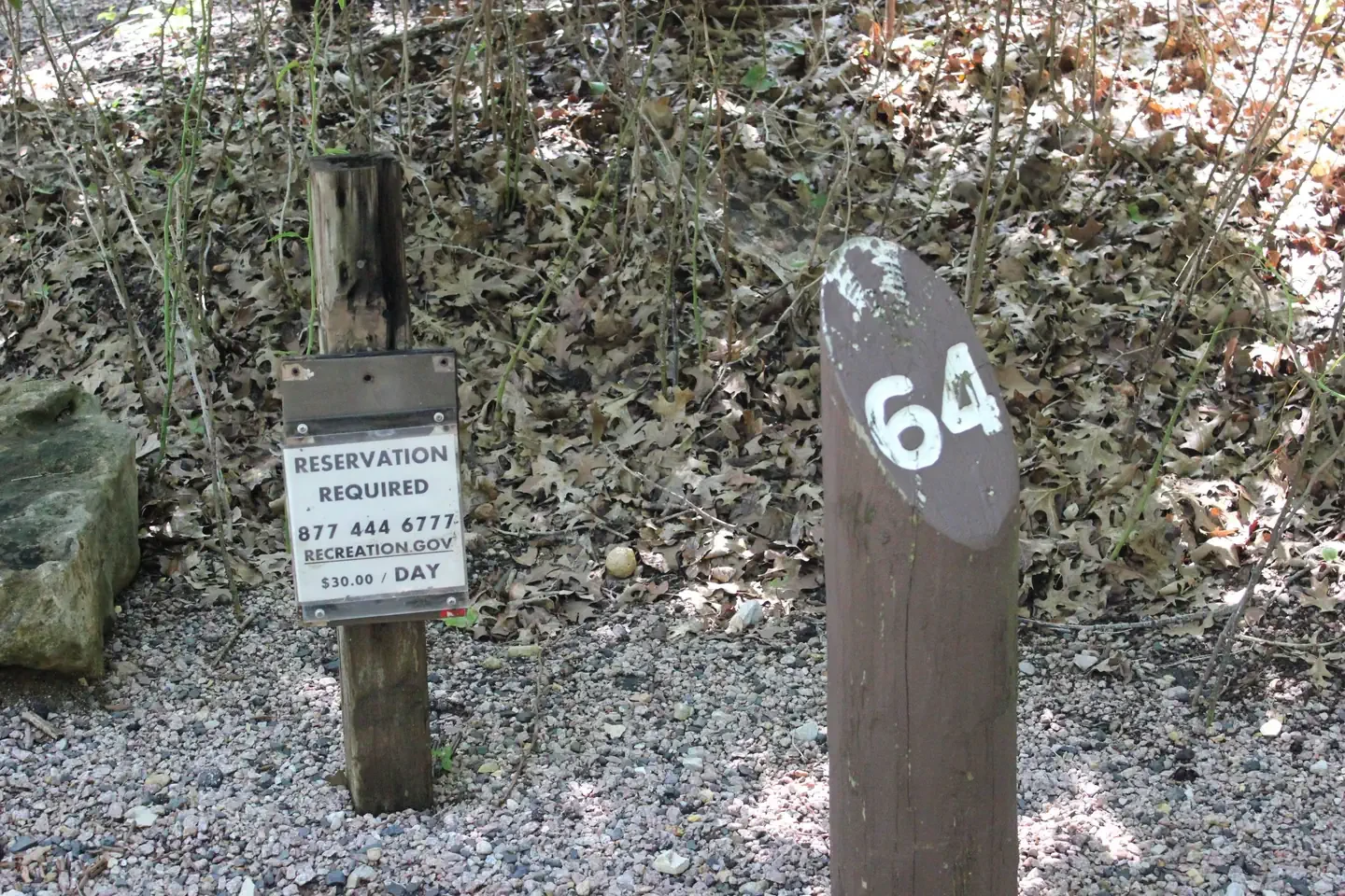 64