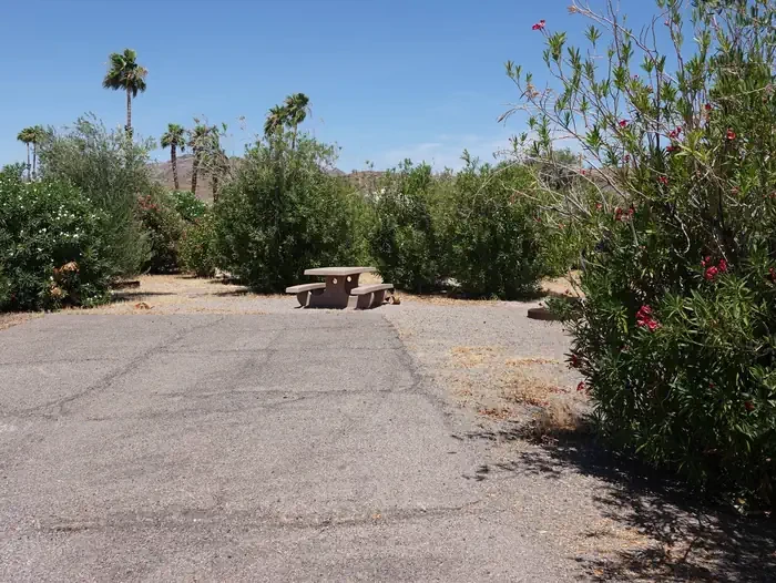 Site 8