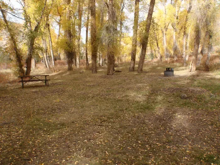 East Elk Creek Group Campsite