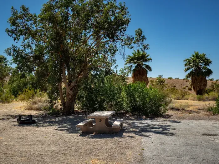 Site 57