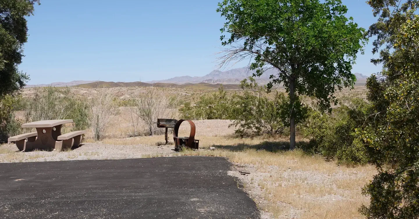 Site 60