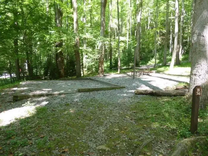 B36