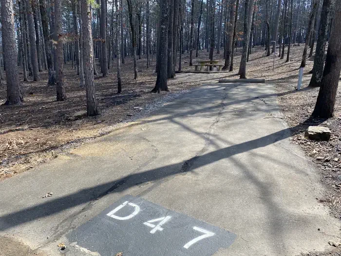 D47