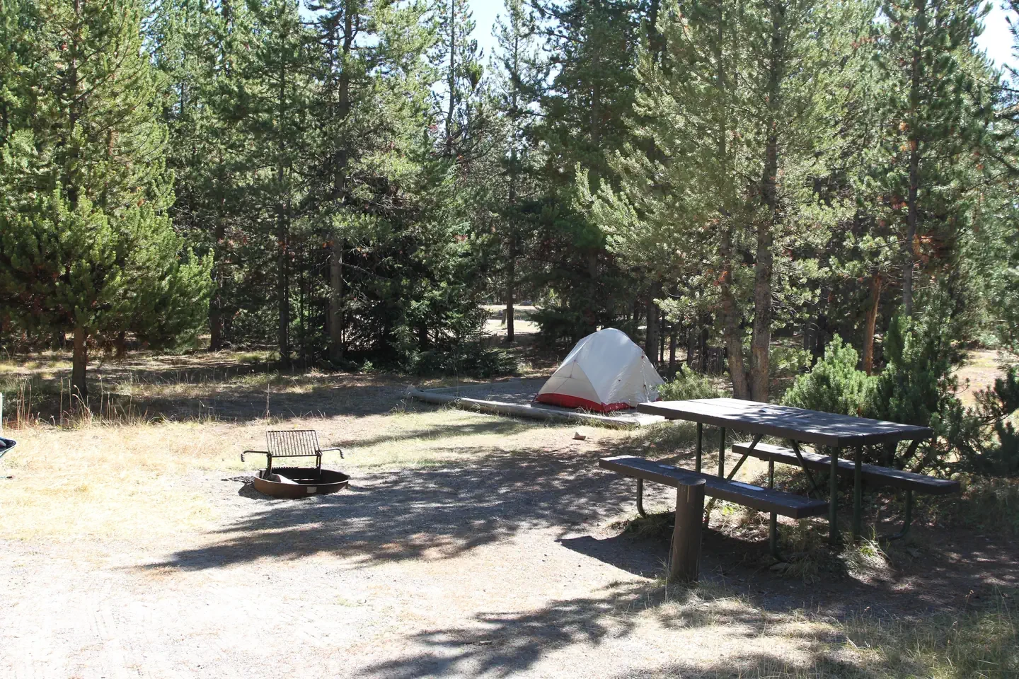 Indian Creek site #45