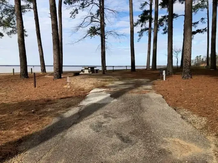 A35