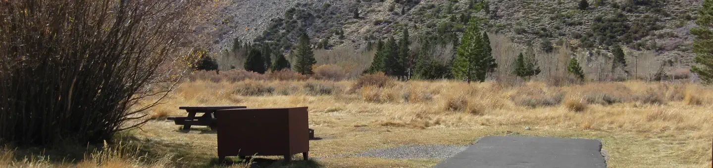 064