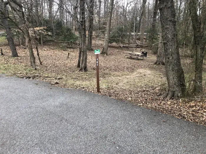 D147
