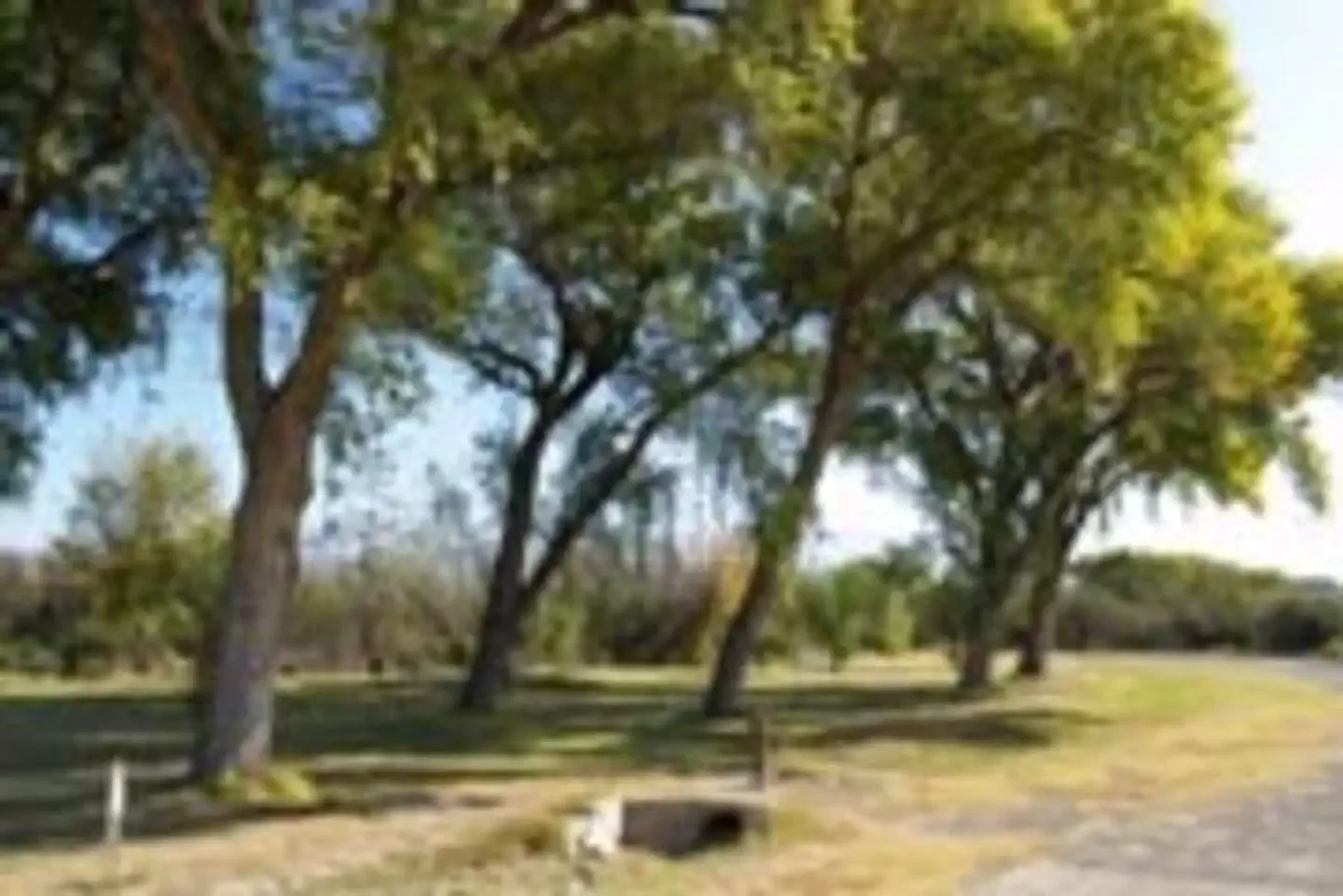 Rio Grande Village Group Campground (Big Bend, TX)