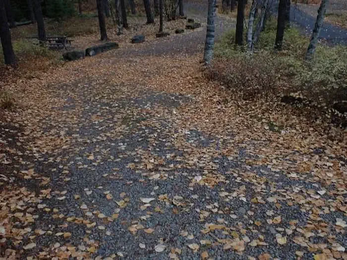 A13