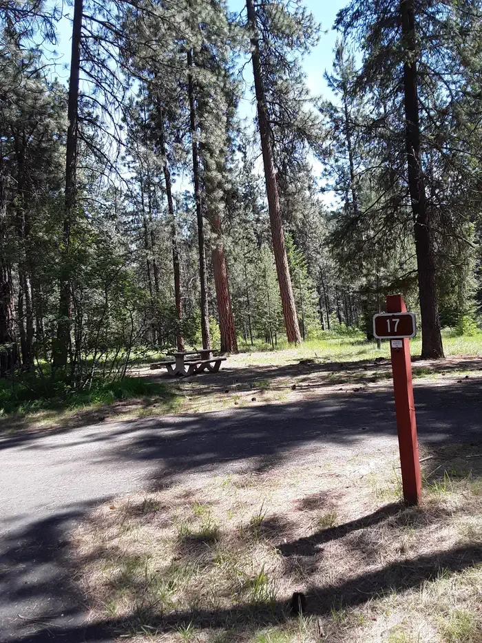Sloway Campground (MT)