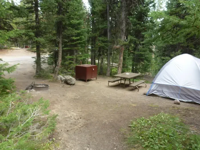 Lewis Lake site #65