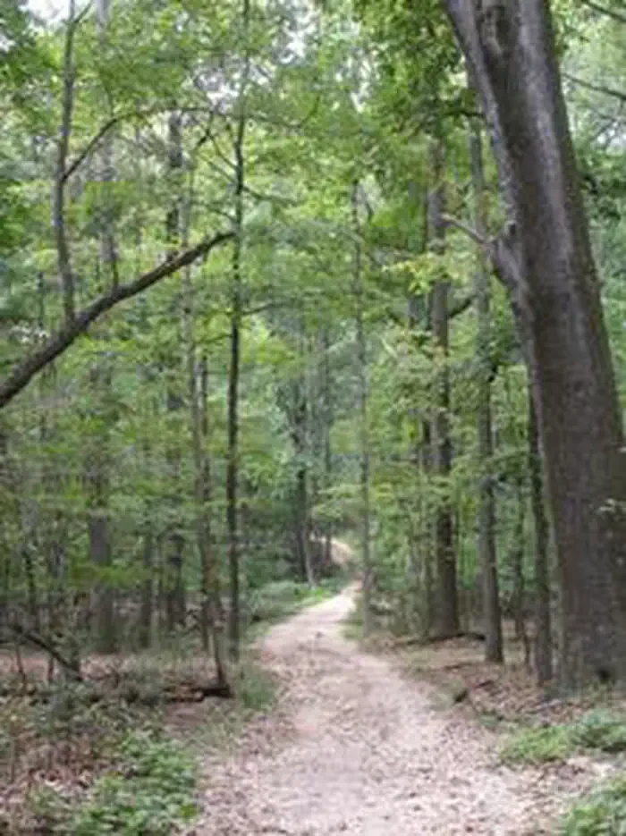 Rock Creek Park Group Picnic Areas (DC)