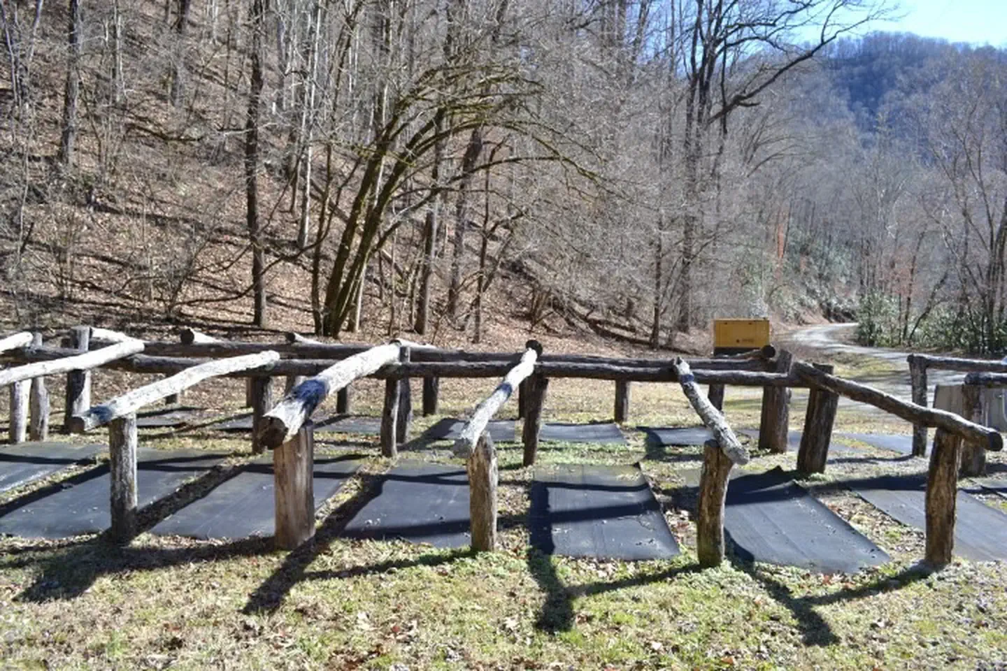 Tow String Horse Camp