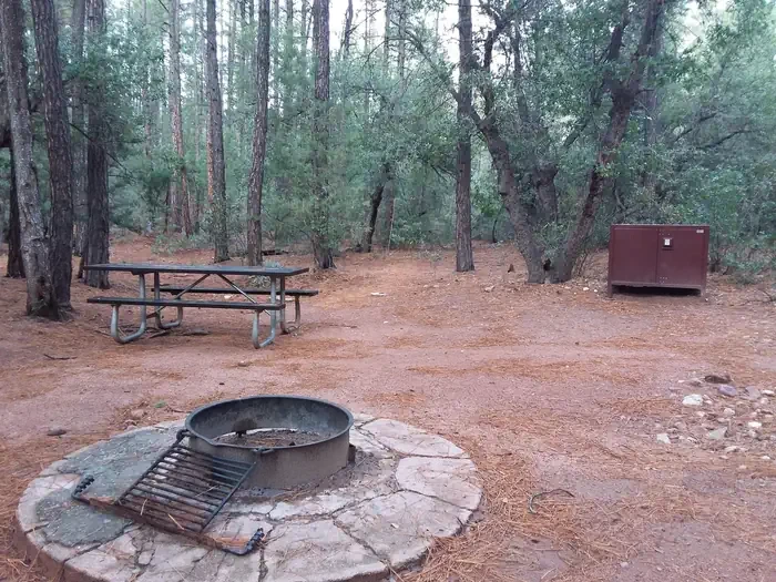 Ponderosa (az)