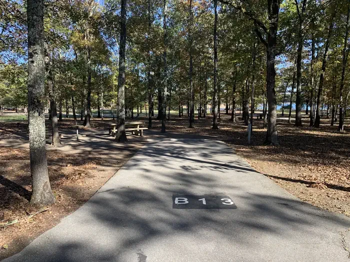 B13