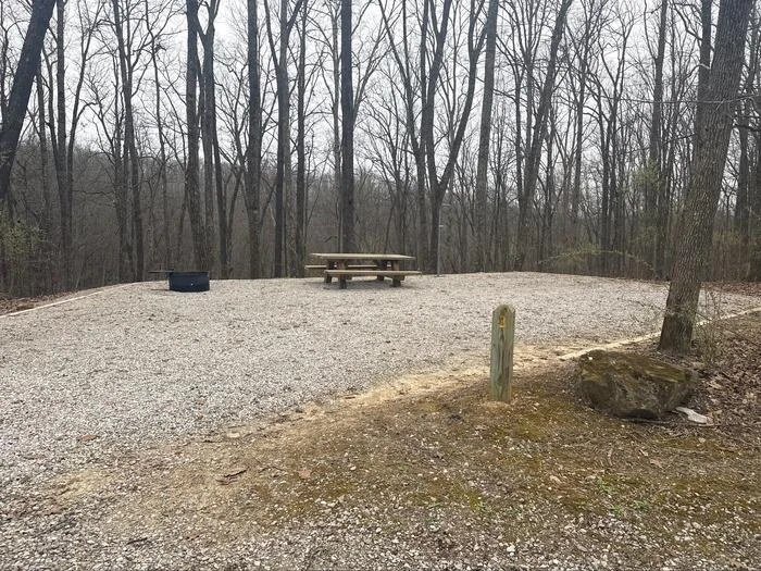 S-Tree Campground
