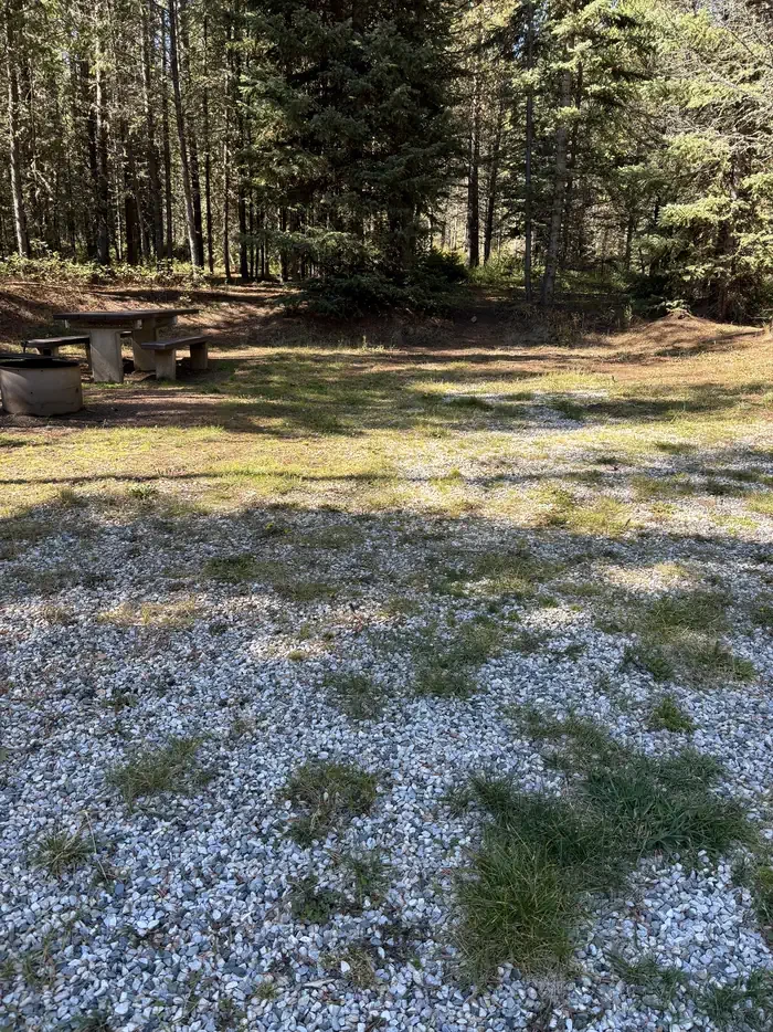 Spring Creek Camp Area
