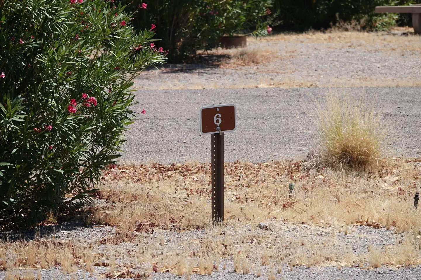 Site 6