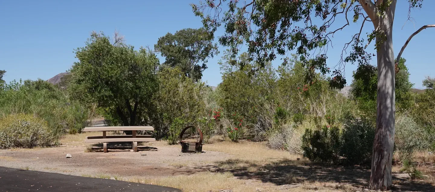 Site 8