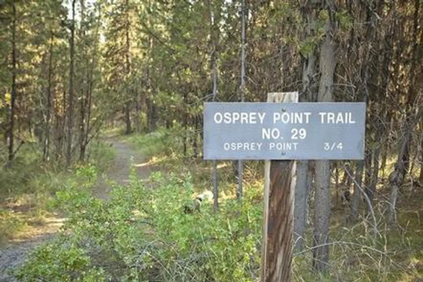 Quinn River Campground