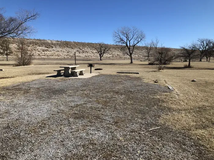 Site 11
