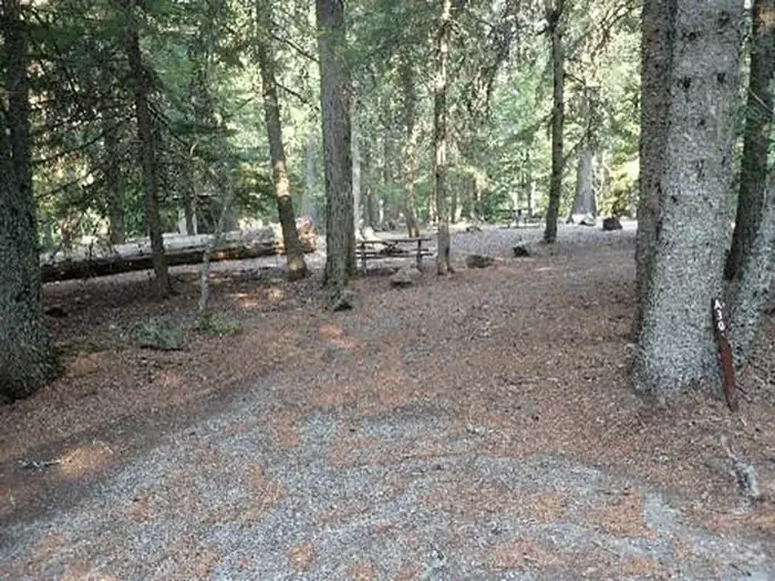 A30