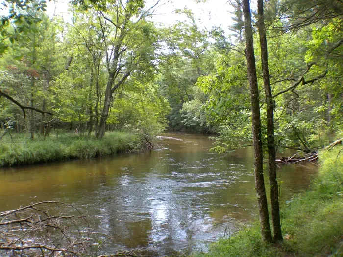 Pere Marquette National Scenic River Watercraft Permits (Huron Manistee)
