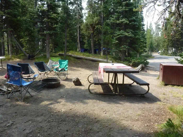 Lewis Lake site #36