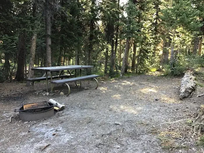 Lewis Lake site #38
