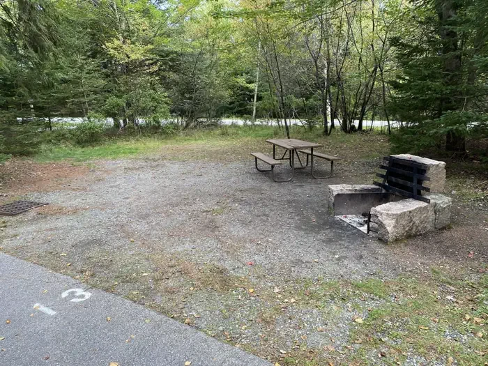 C13