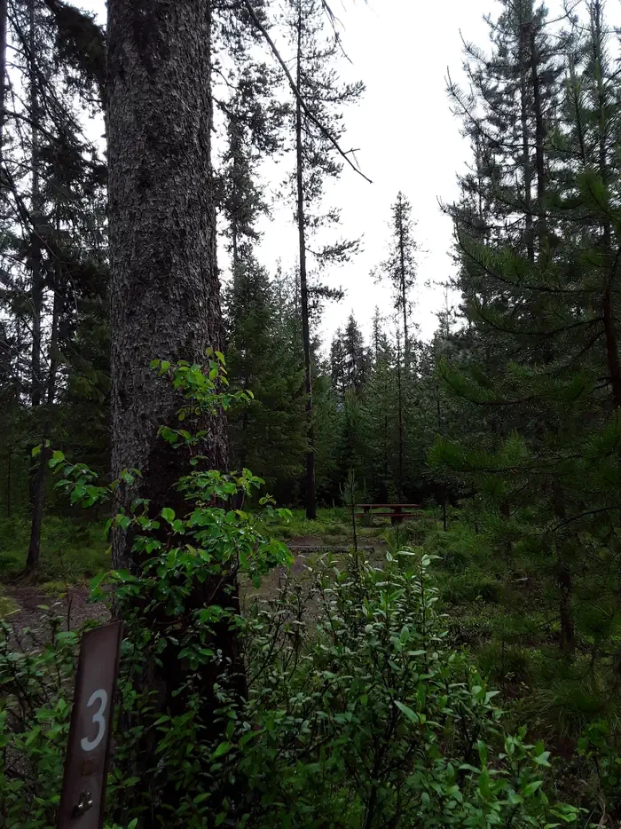 Cabin City Campground (MT)