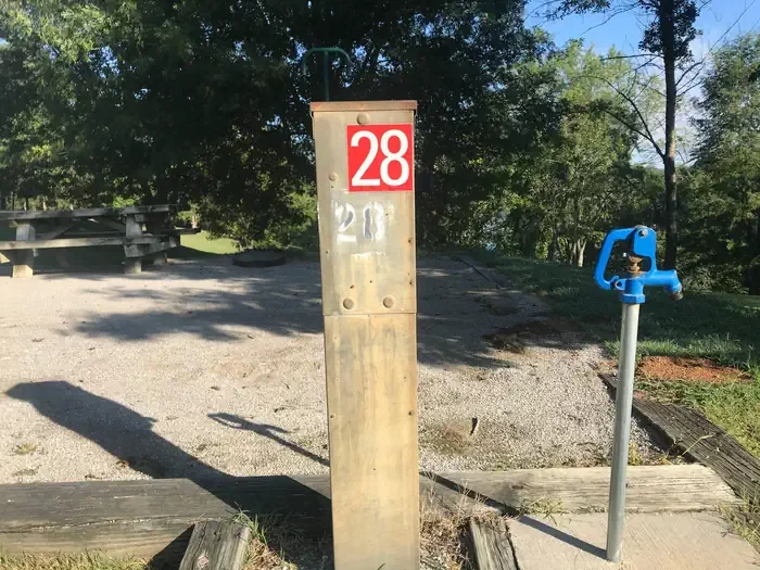 28